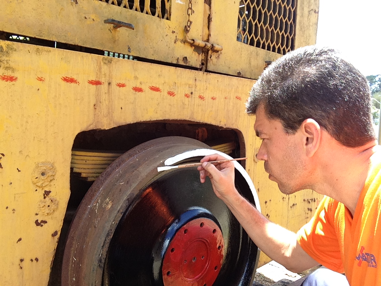 Trabalho voluntário ANPF.JPG