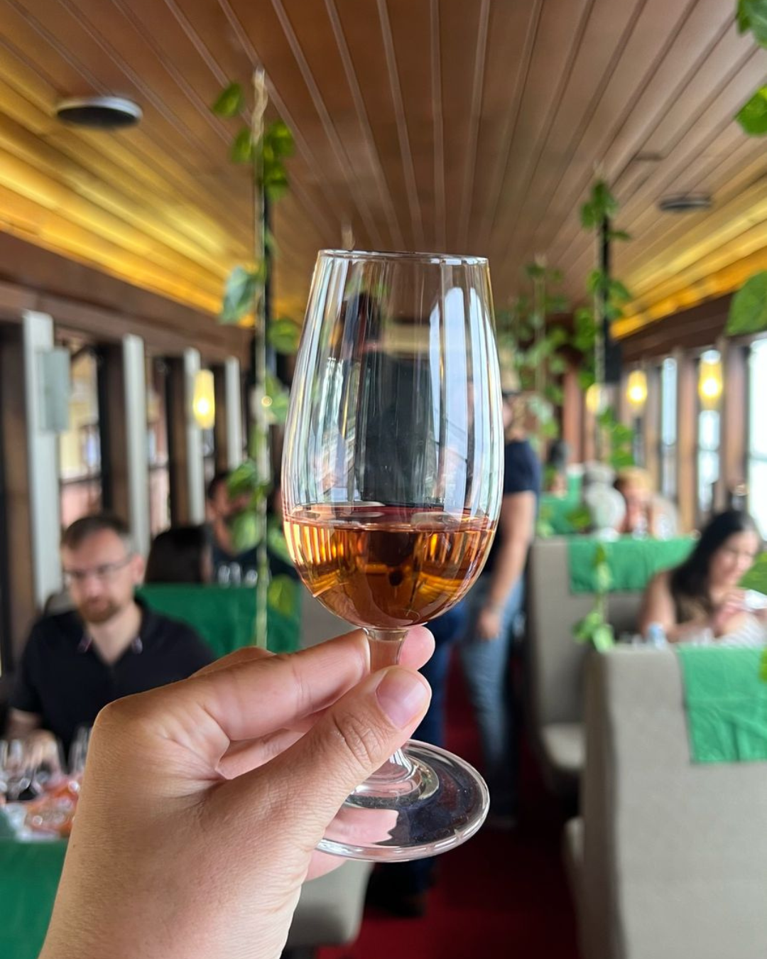trem do vinho thg 2.png