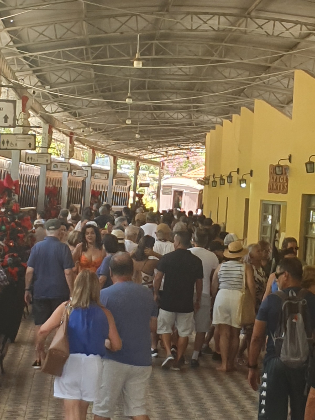 WhatsApp Image 2024-02-29 at 17.40.49 (15).jpeg